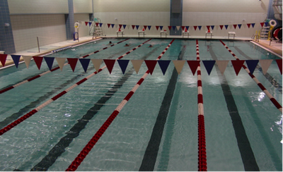 In regular years the swim team practices at the Baruch College Athletic & Recreation Complex, pictured above. This season the pandemic made in-person practice and competition impossible, shifting the teams focus to fitness and team-building exercises in their online meetings.   